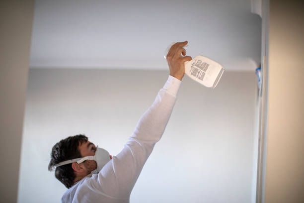 Best Mold Testing and Inspection Services in Ramona, CA
