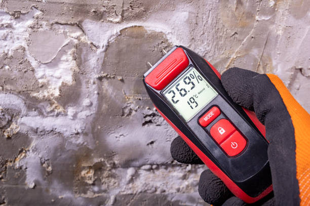 Best Crawl Space Mold Remediation in Ramona, CA